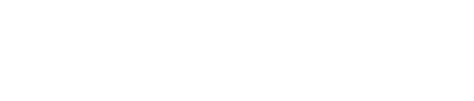 Logo Wikipoint